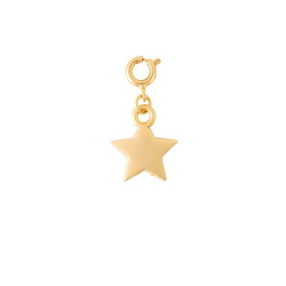 Gold Plated Charms
